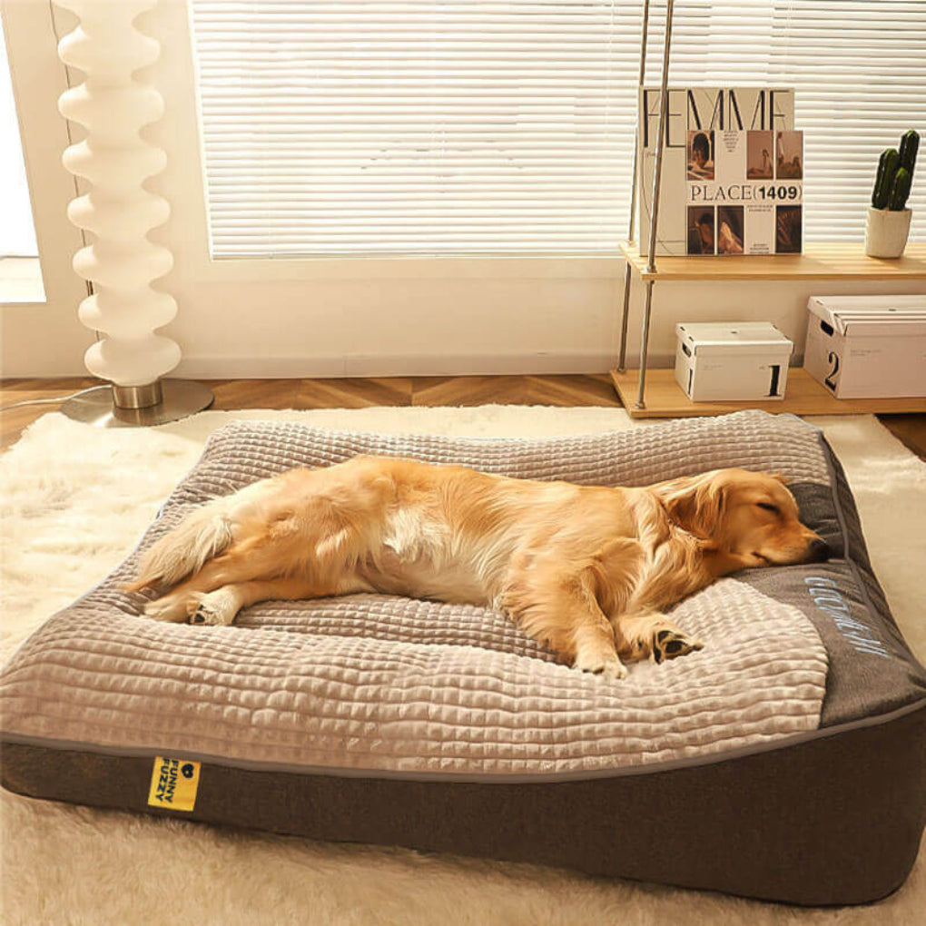 Pet Supplies Image