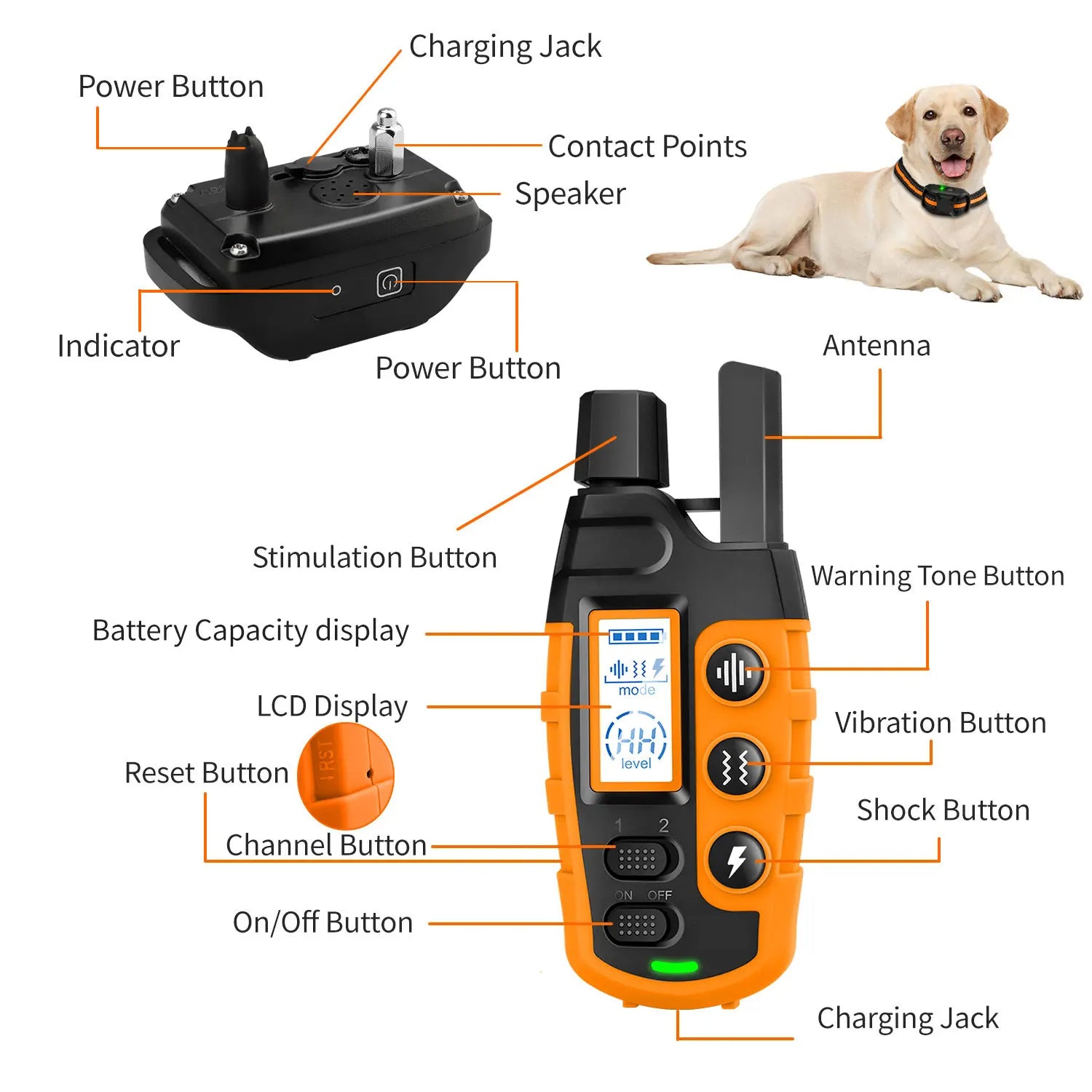 Long Range Dog Training Collar - 3300ft Remote