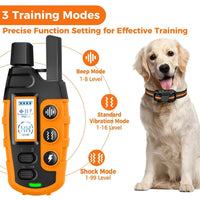 Long Range Dog Training Collar - 3300ft Remote