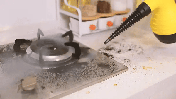 Powerful Multi-Surface Steam Cleaner
