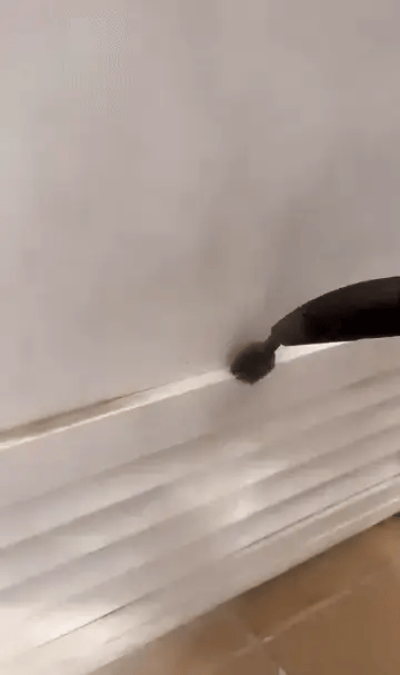 Powerful Multi-Surface Steam Cleaner