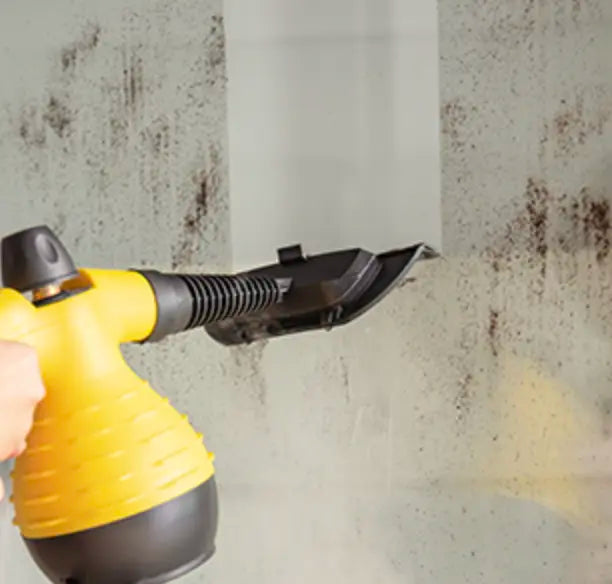 Powerful Multi-Surface Steam Cleaner