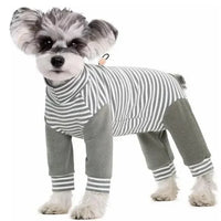 Anti-Licking • Dog Recovery Suit
