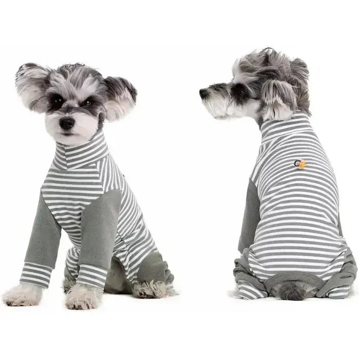 Anti-Licking • Dog Recovery Suit