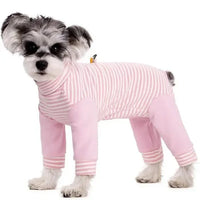 Anti-Licking • Dog Recovery Suit