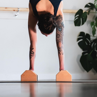 Calisthenics PowerBars Wooden Push-Up Stands