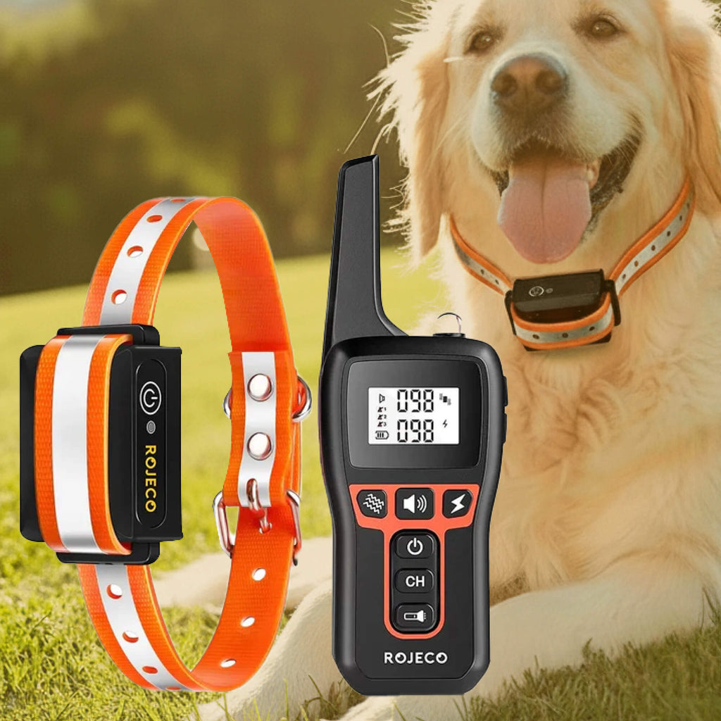 Charly | 1000m Waterproof Dog Training Collar | Rechargeable, Remote Control & Adjustable for Small, Medium, and Large Dogs