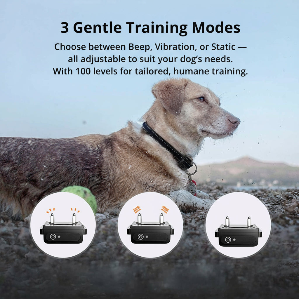Sisica | 1000m Waterproof Dog Training Collar | Rechargeable, Remote Control & Adjustable for Small, Medium, and Large Dogs