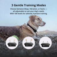 Sisica | 1000m Waterproof Dog Training Collar | Rechargeable, Remote Control & Adjustable for Small, Medium, and Large Dogs