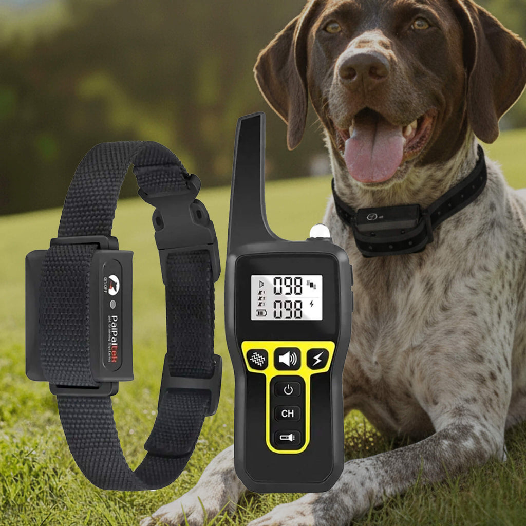 Charly | 1000m Waterproof Dog Training Collar | Rechargeable, Remote Control & Adjustable for Small, Medium, and Large Dogs