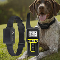 Charly | 1000m Waterproof Dog Training Collar | Rechargeable, Remote Control & Adjustable for Small, Medium, and Large Dogs