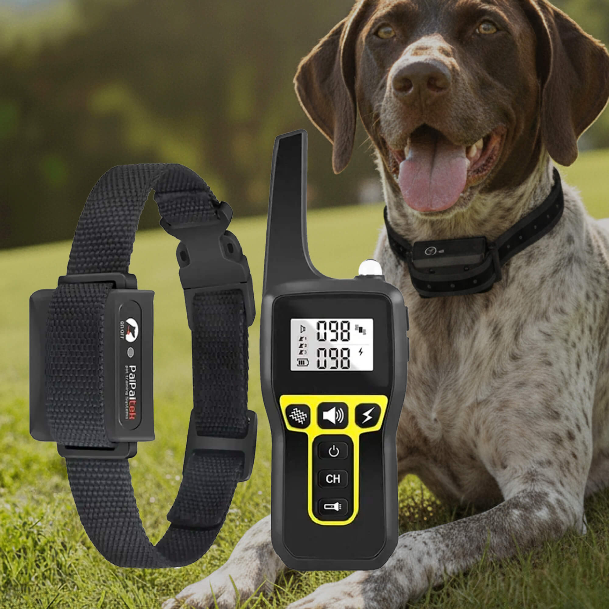 Charly | 1000m Waterproof Dog Training Collar | Rechargeable, Remote Control & Adjustable for Small, Medium, and Large Dogs