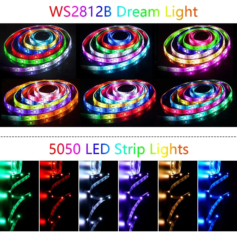 Sisica | 5V LED Strip Lights (1M-20M)