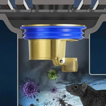 Sisica | Brass Drain Insert Stops Odors & Clogs
