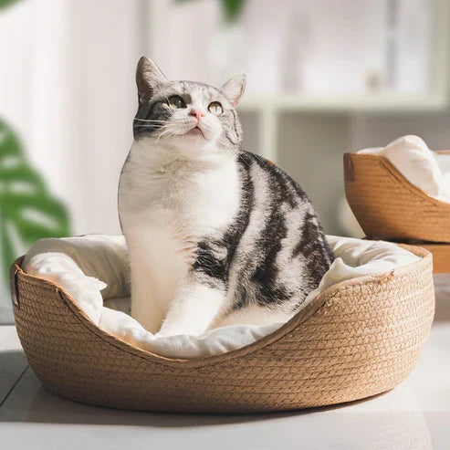 Sisica | Bamboo Bed