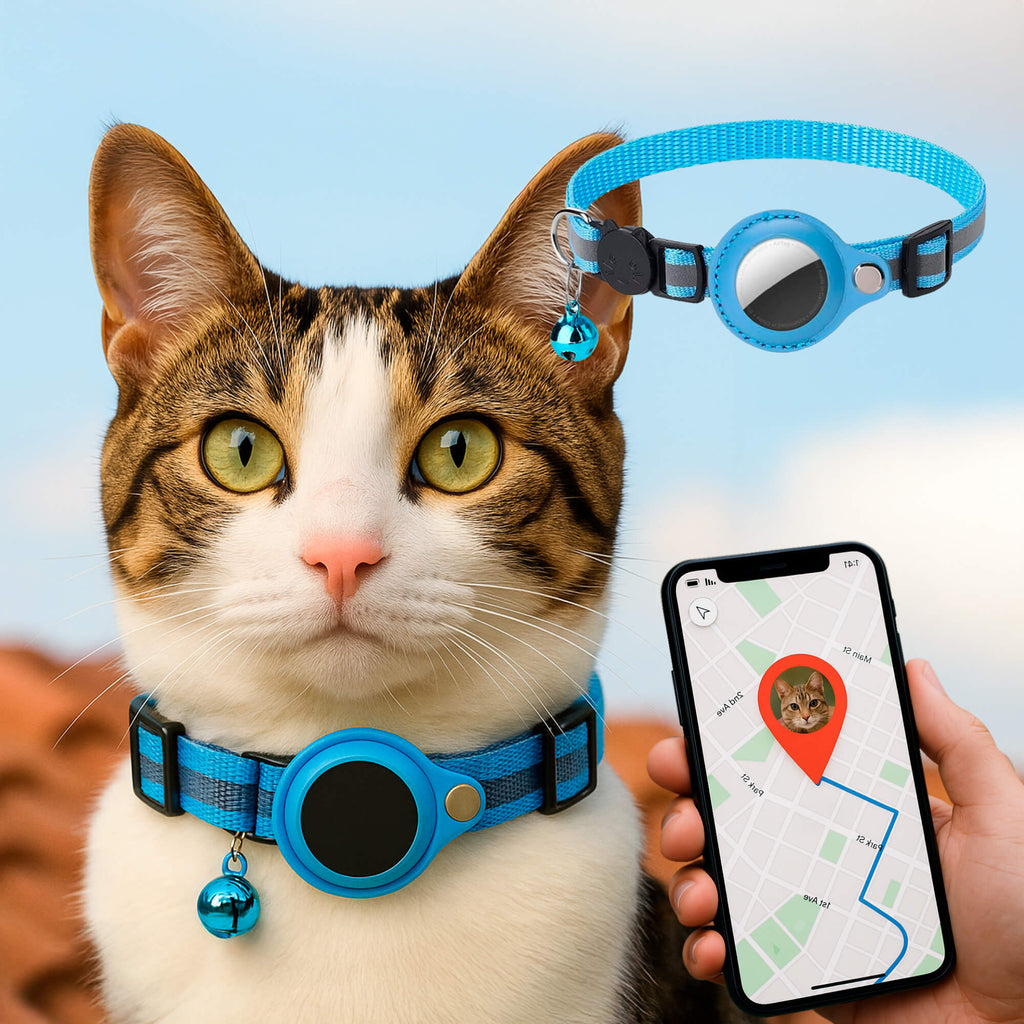 Charly | Cat GPS Tracking Collar | Quick Release Lock, Reflective Design & Durable for Outdoor Safety Adventures