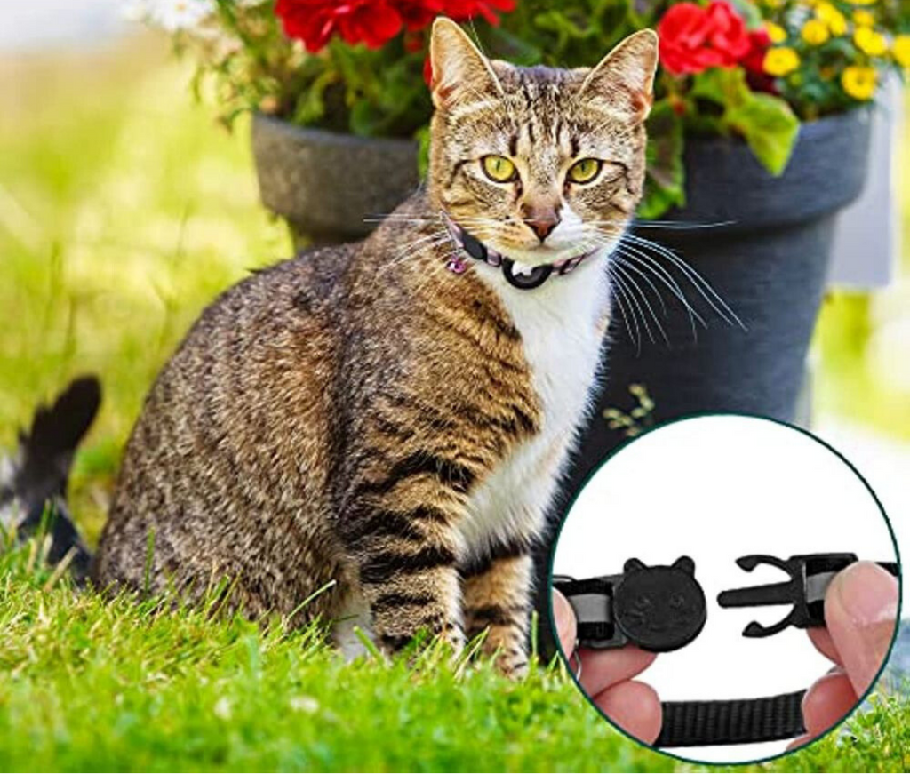 Sisica | Cat GPS Tracker Collar | Safety Release, Reflective, Durable