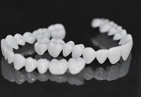 Sisica | Secure-Fit Dental Covers for a Confident Smile