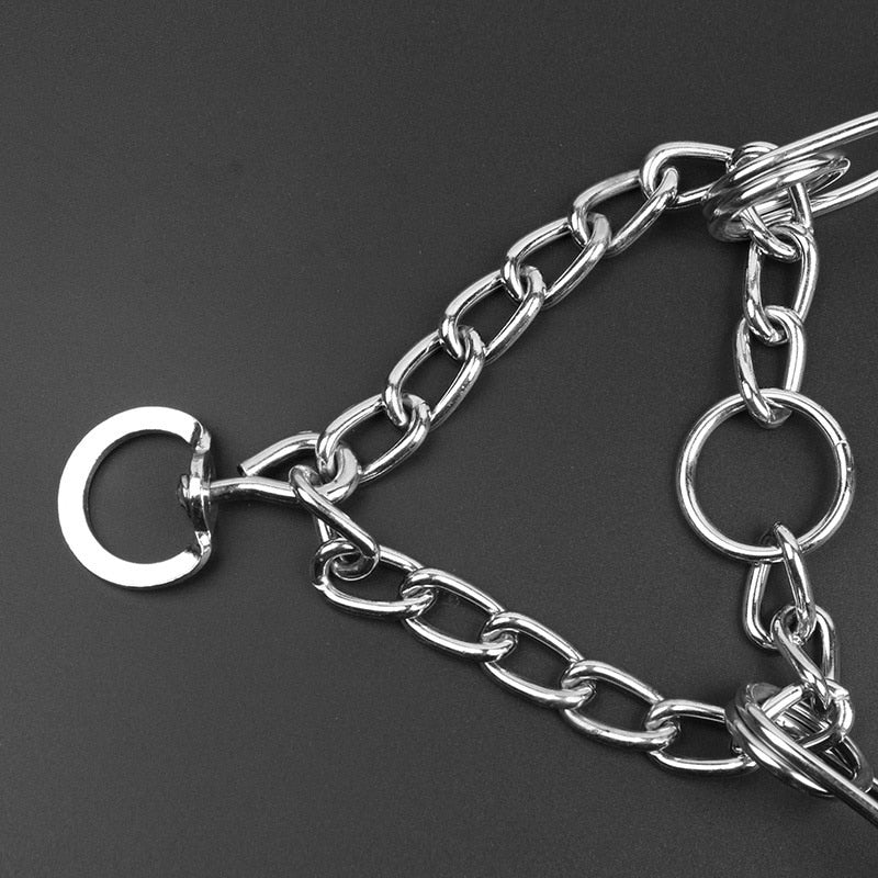 Sisica | Dog Pincher Collar - Style B