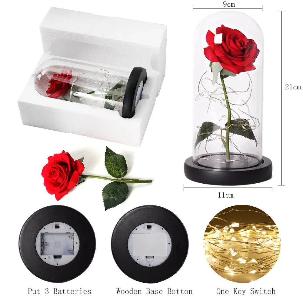 Forever Rose with LED Lights Under Glass Dome
