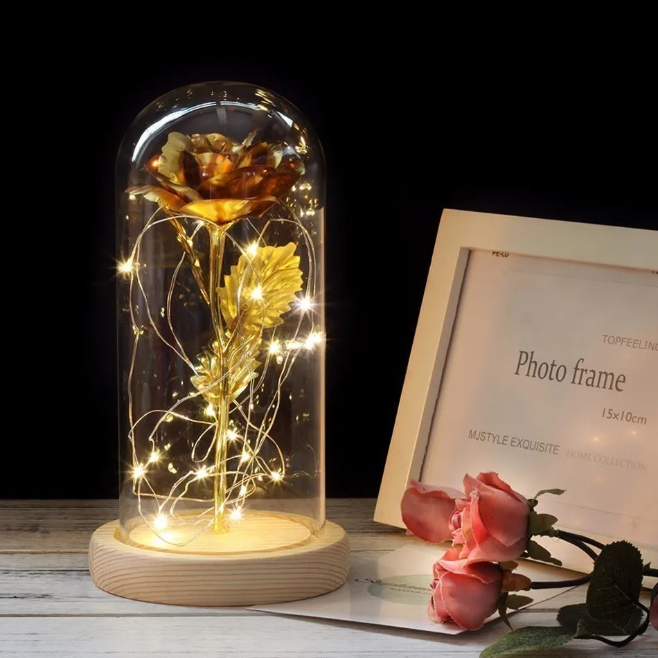 Charly – Eternal Rose in Glass Dome with Atmospheric LED Lighting
