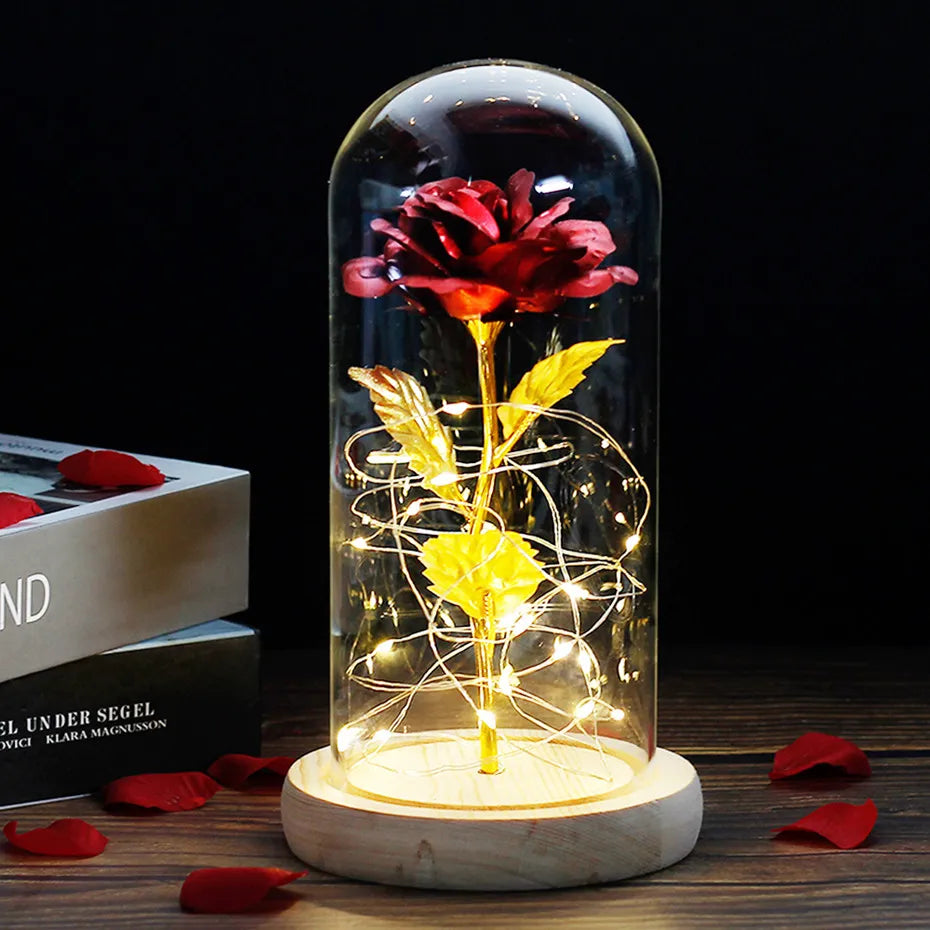 Charly – Eternal Rose in Glass Dome with Atmospheric LED Lighting