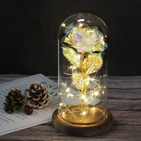 Charly – Eternal Rose in Glass Dome with Atmospheric LED Lighting