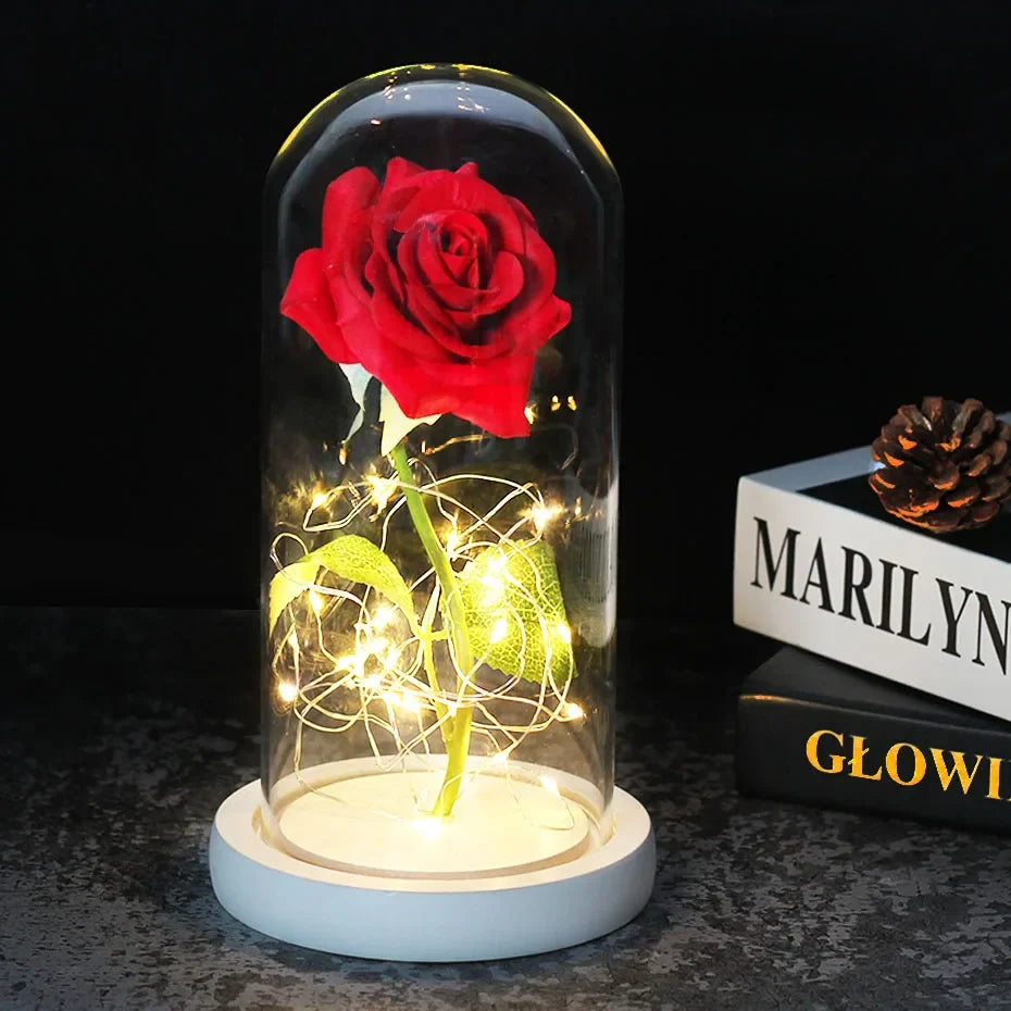Forever Rose with LED Lights Under Glass Dome