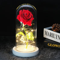 Forever Rose with LED Lights Under Glass Dome