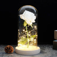 Charly – Eternal Rose in Glass Dome with Atmospheric LED Lighting
