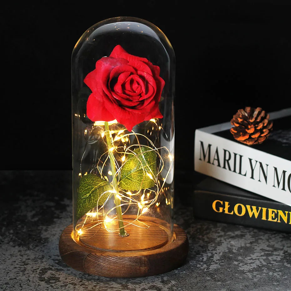 Forever Rose with LED Lights Under Glass Dome