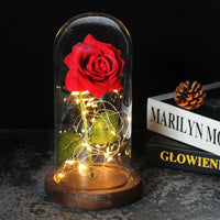 Forever Rose with LED Lights Under Glass Dome