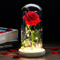 Forever Rose with LED Lights Under Glass Dome