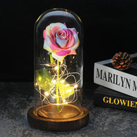 Charly – Eternal Rose in Glass Dome with Atmospheric LED Lighting