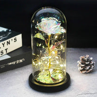 Forever Rose with LED Lights Under Glass Dome