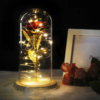 Forever Rose with LED Lights Under Glass Dome