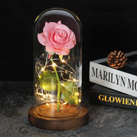 Charly – Eternal Rose in Glass Dome with Atmospheric LED Lighting
