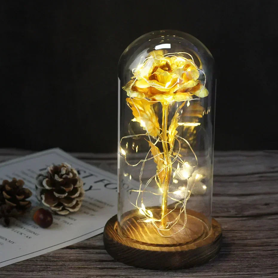 Charly – Eternal Rose in Glass Dome with Atmospheric LED Lighting