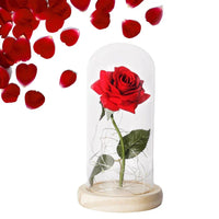 Forever Rose with LED Lights Under Glass Dome
