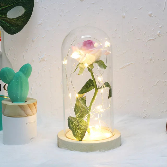 Charly – Eternal Rose in Glass Dome with Atmospheric LED Lighting