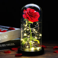 Forever Rose with LED Lights Under Glass Dome