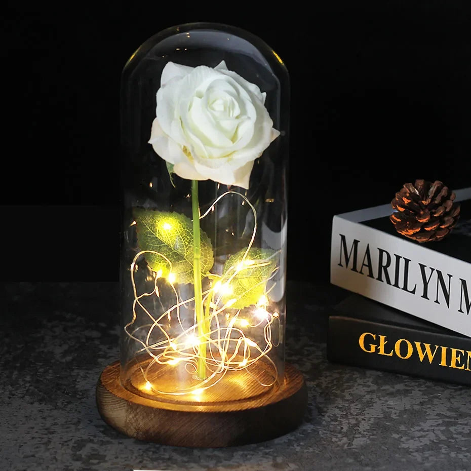 Charly – Eternal Rose in Glass Dome with Atmospheric LED Lighting