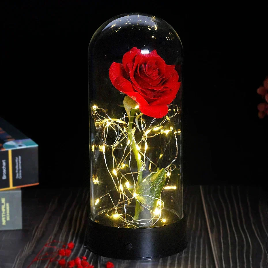 Forever Rose with LED Lights Under Glass Dome
