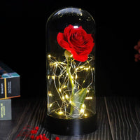 Forever Rose with LED Lights Under Glass Dome