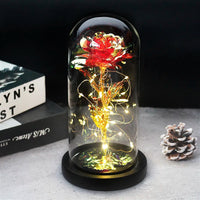 Charly – Eternal Rose in Glass Dome with Atmospheric LED Lighting
