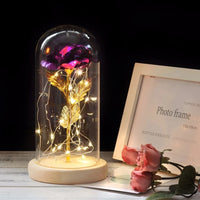 Charly – Eternal Rose in Glass Dome with Atmospheric LED Lighting