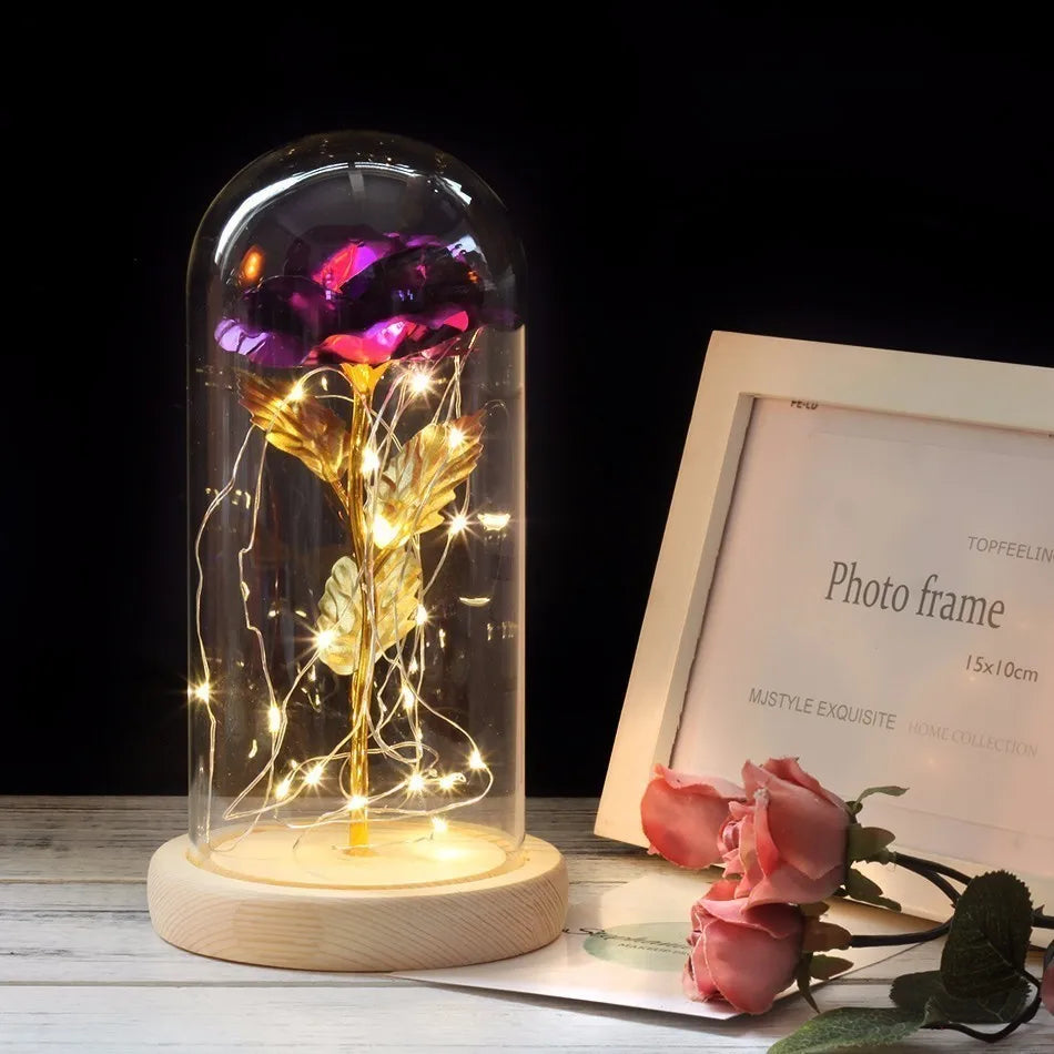 Charly – Eternal Rose in Glass Dome with Atmospheric LED Lighting