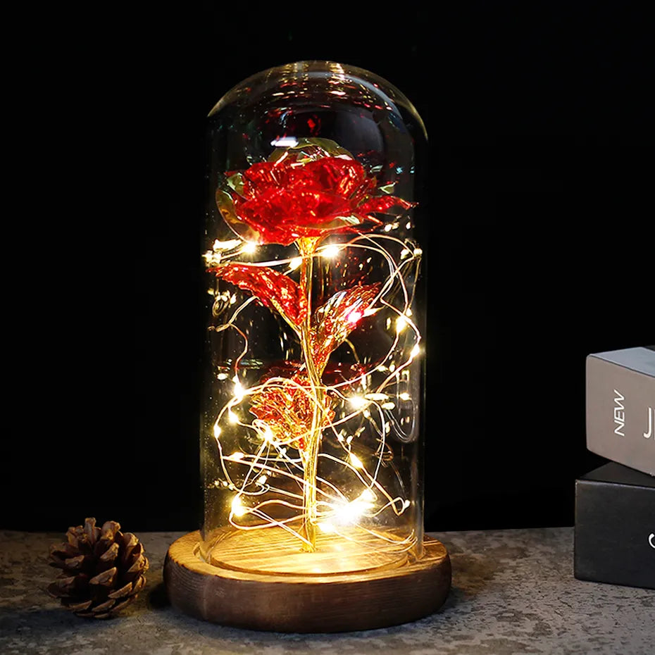 Charly – Eternal Rose in Glass Dome with Atmospheric LED Lighting