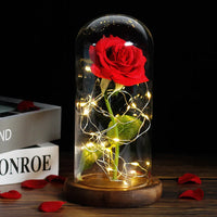 Forever Rose with LED Lights Under Glass Dome