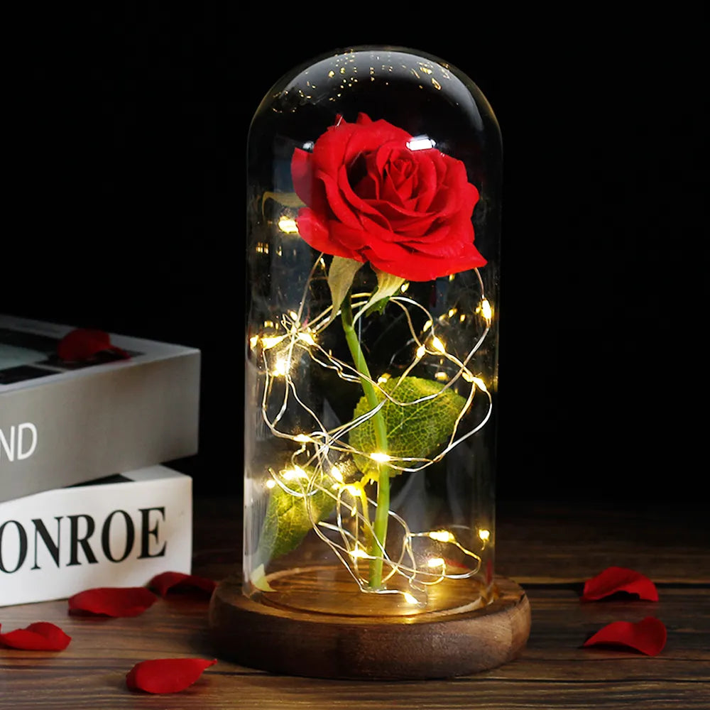 Forever Rose with LED Lights Under Glass Dome